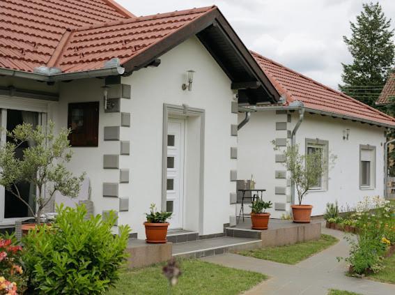 Apartmani Mikic ปาลิช ภายนอก รูปภาพ